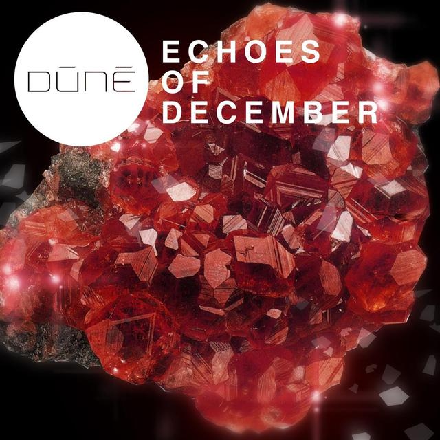 Album cover art for Echoes of December