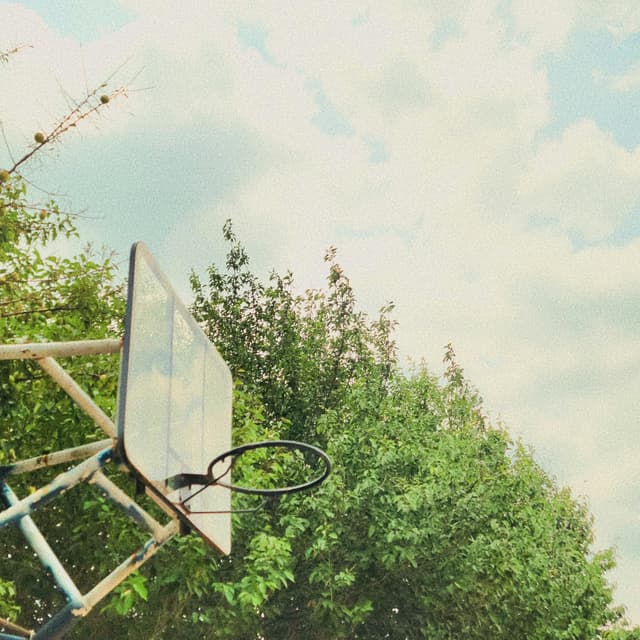 Album cover art for Summer Lies