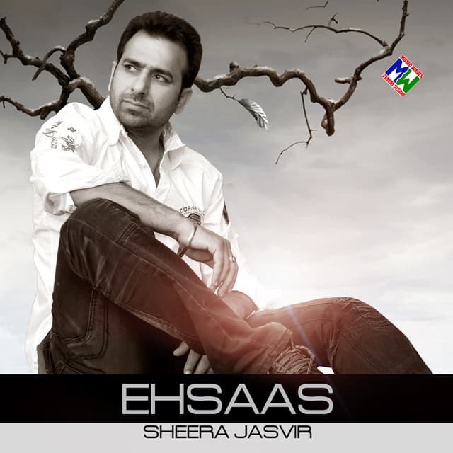 Album cover art for Ehsaas
