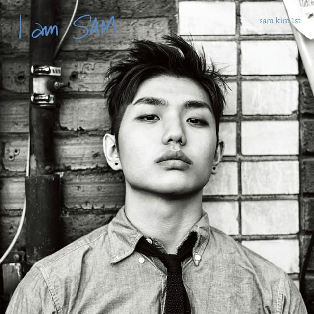 Album cover art for I AM SAM