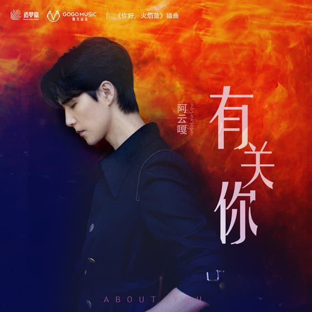 Album cover art for 有关你