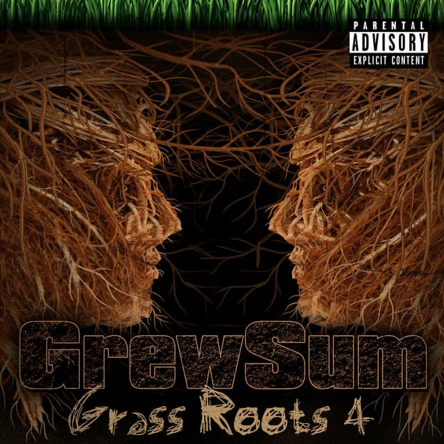 Album cover art for Grass Roots 4
