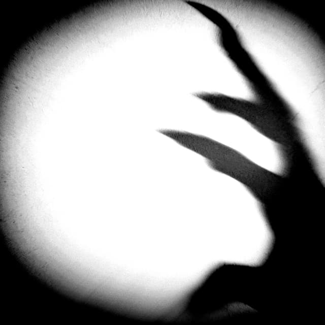 Album cover art for VAMPYR