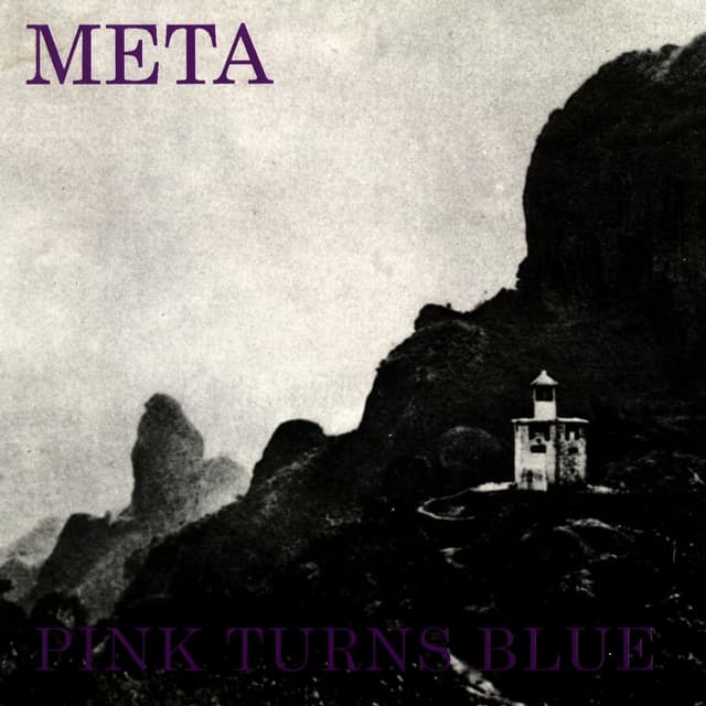 Album cover art for Meta