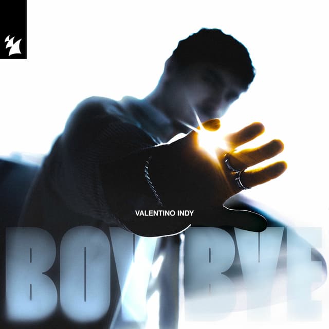Album cover art for Boy Bye