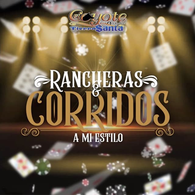 Album cover art for Rancheras y Corridos a mi Estilo