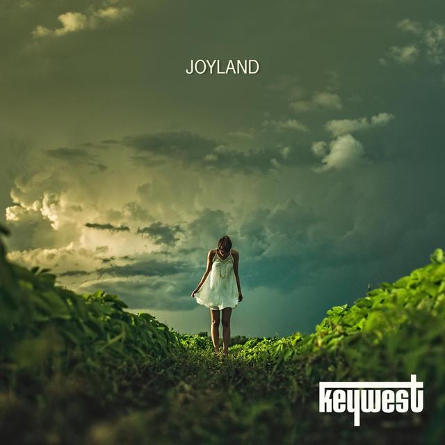 Album cover art for Joyland