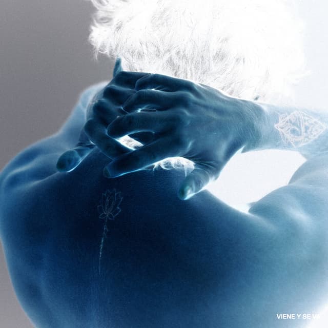 Album cover art for VIENE Y SE VA