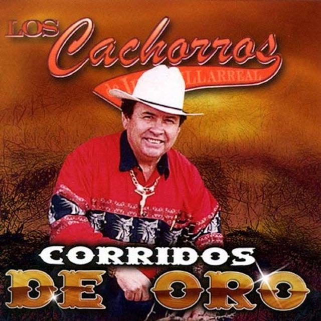 Album cover art for Corridos De Oro