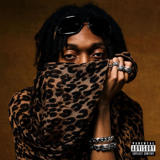 Album cover art for Plan A