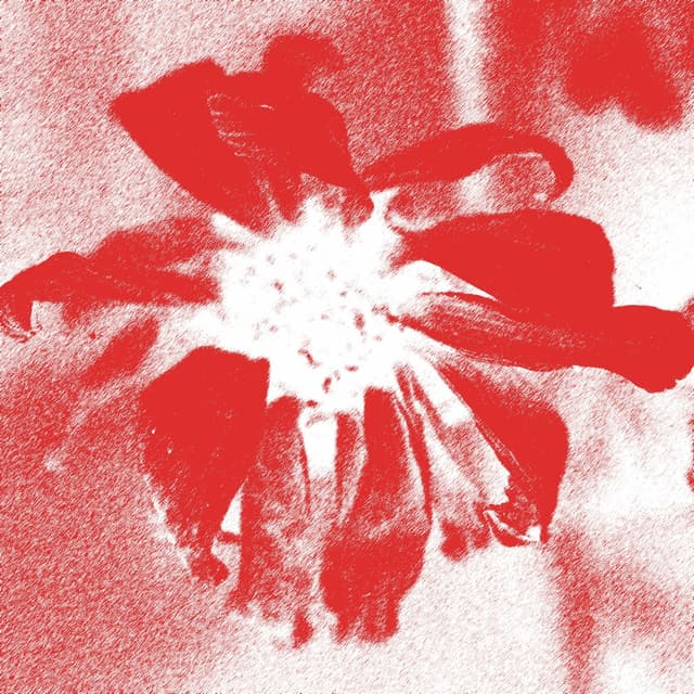 Album cover art for Wrong Thing (Baths remix)