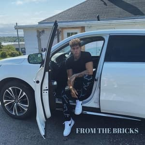 Album cover art for From The Bricks