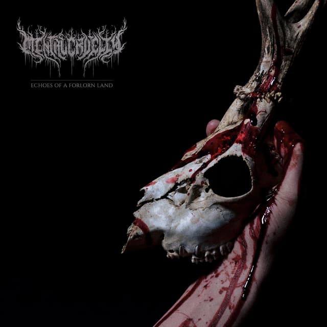 Album cover art for Echoes of a Forlorn Land
