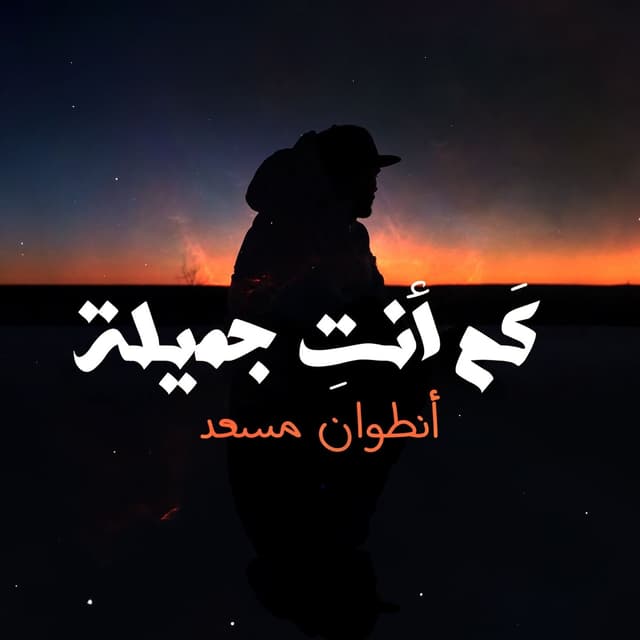 Album cover art for Kam Anti Jamila