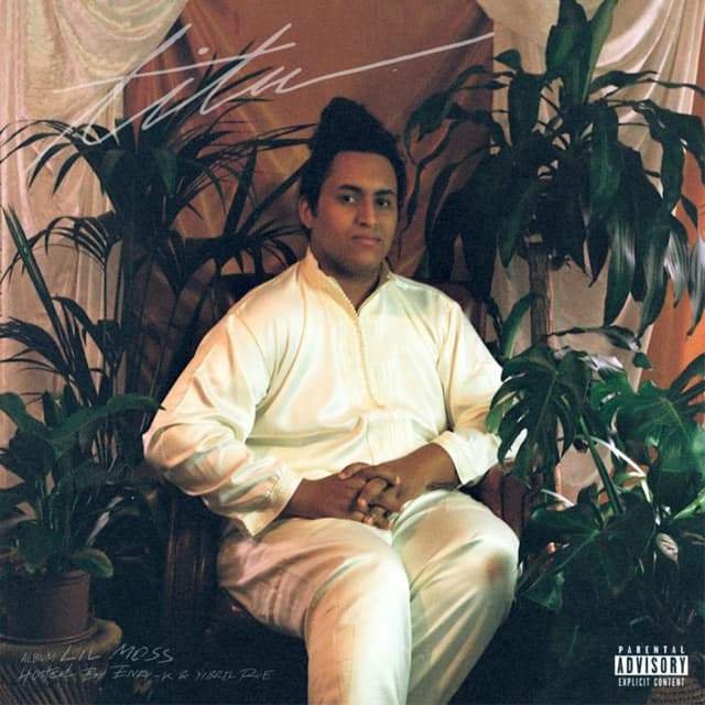 Album cover art for Titu