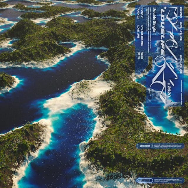 Album cover art for LOVE, LIFE, OYE