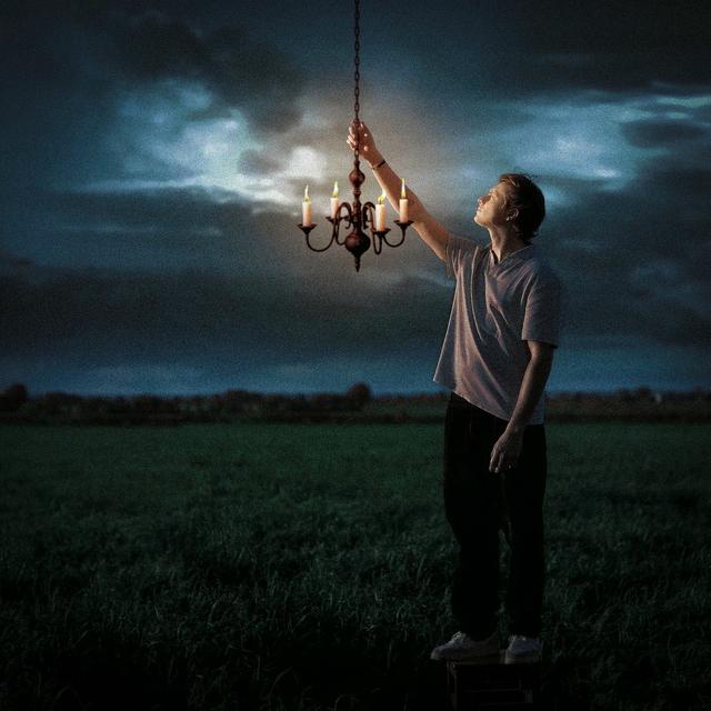 Album cover art for Le rêveur du bal