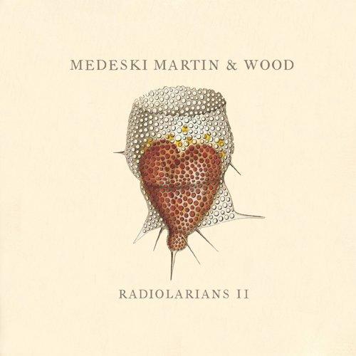 Radiolarians 2