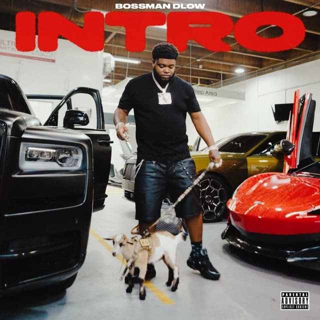 Album cover art for Intro