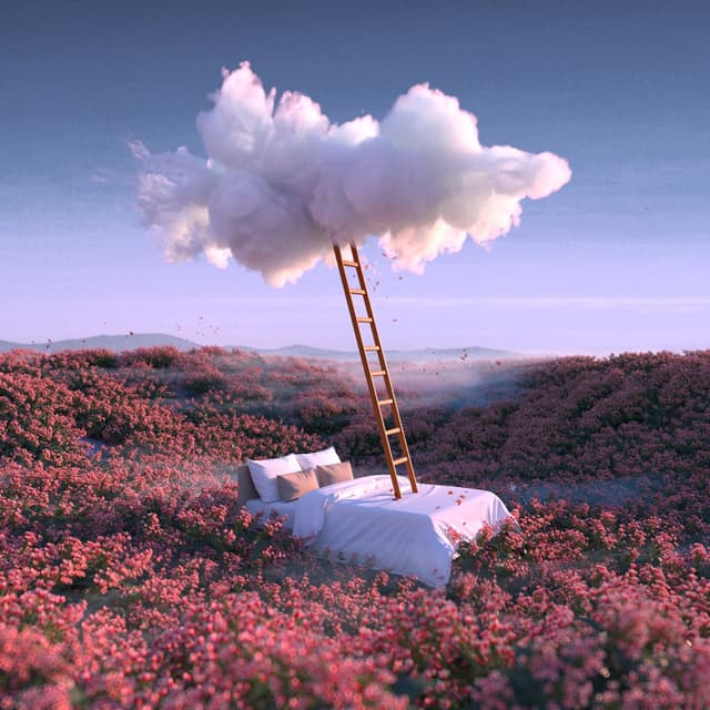 Album cover art for DEBESIMIS BRAIDYTI