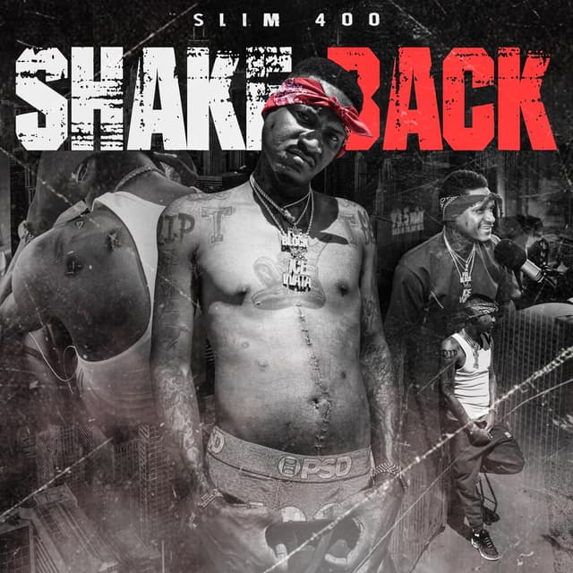 Album cover art for Shake Back