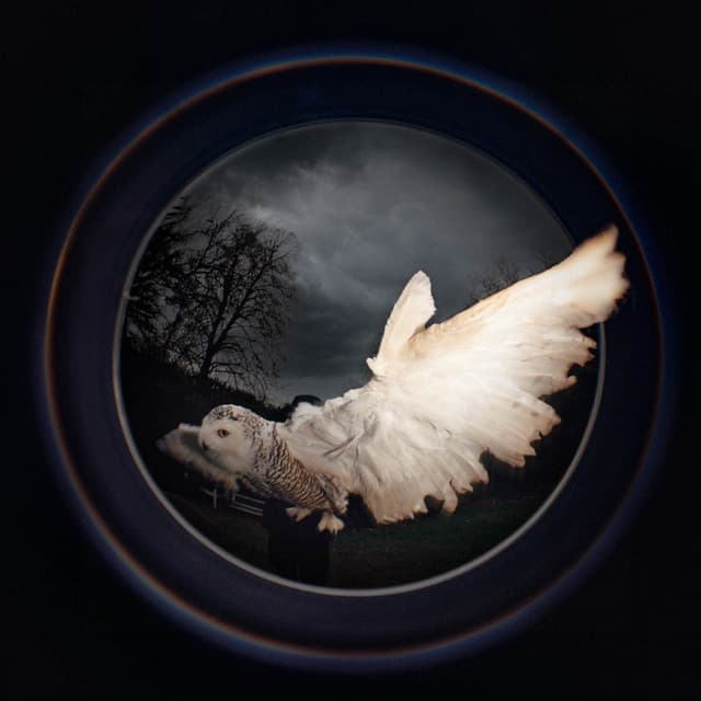 Album cover art for la chouette