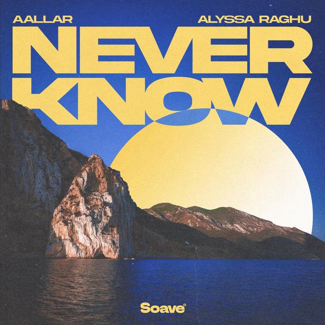Album cover art for Never Know