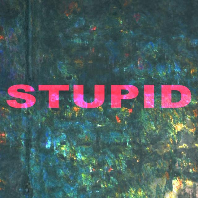 Album cover art for Stupid - Single