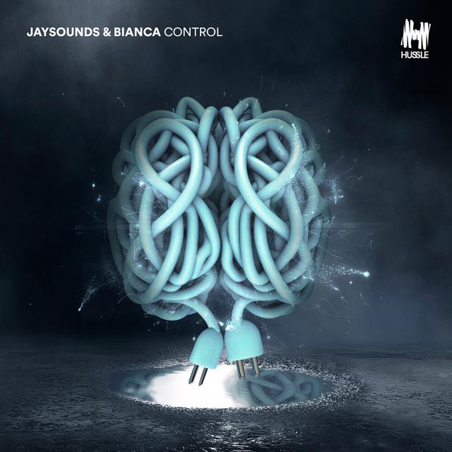 Album cover art for Control