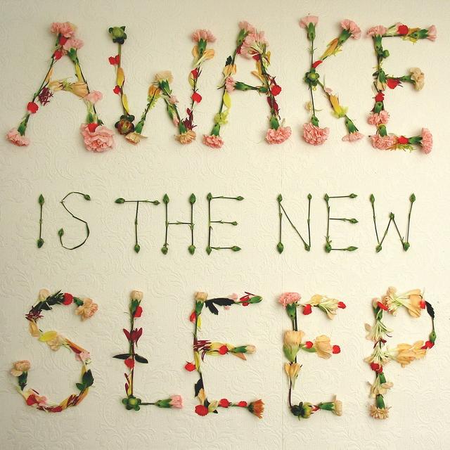 Album cover art for Awake Is the New Sleep