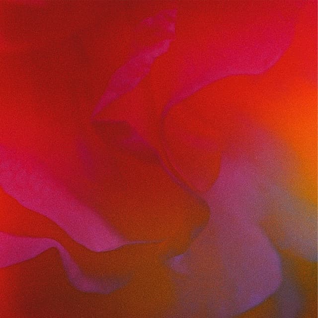 Album cover art for Miss Your Body
