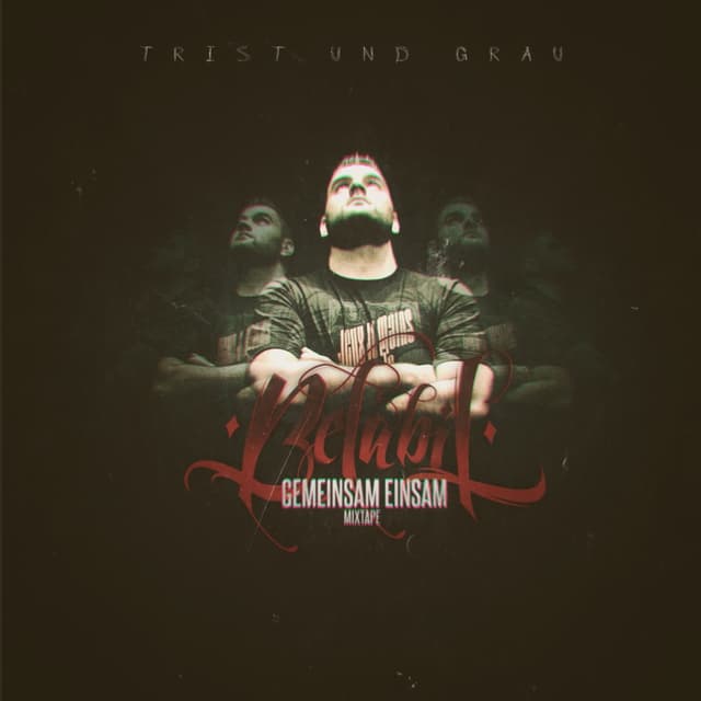 Album cover art for Gemeinsam einsam