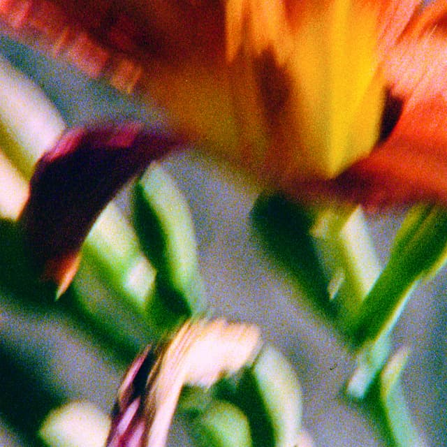 Album cover art for Something Amazing