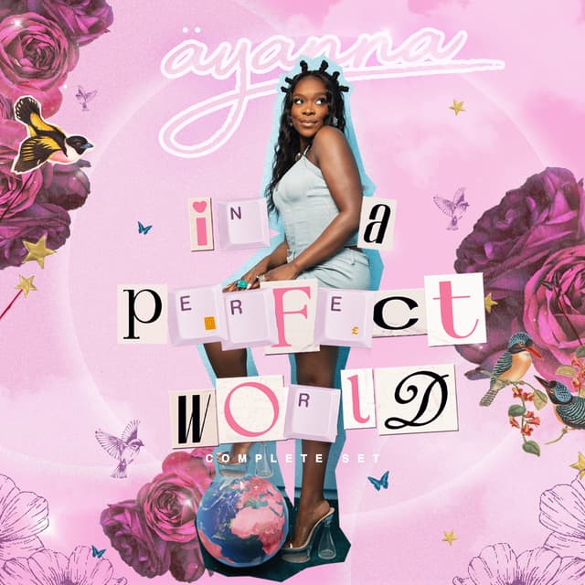 Album cover art for In A Perfect World (Complete Set)