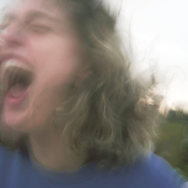 Album cover art for Why Did I Laugh Anyway