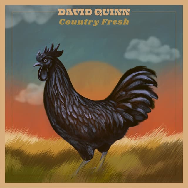 Album cover art for Country Fresh