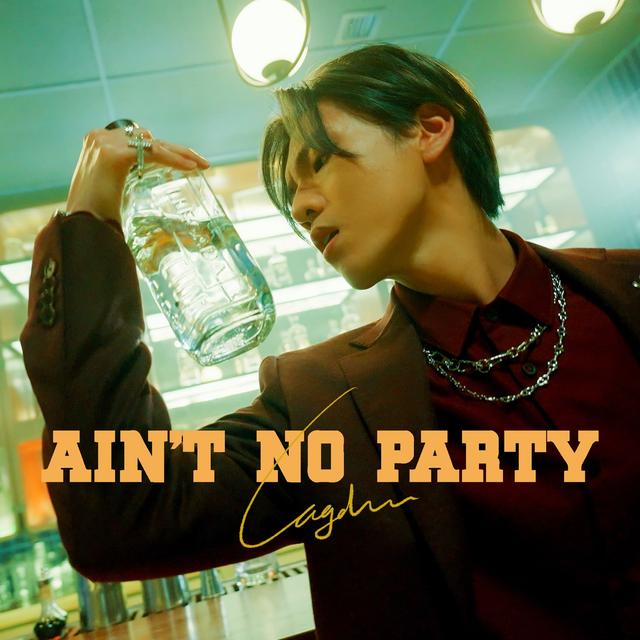 Album cover art for Ain’t No Party