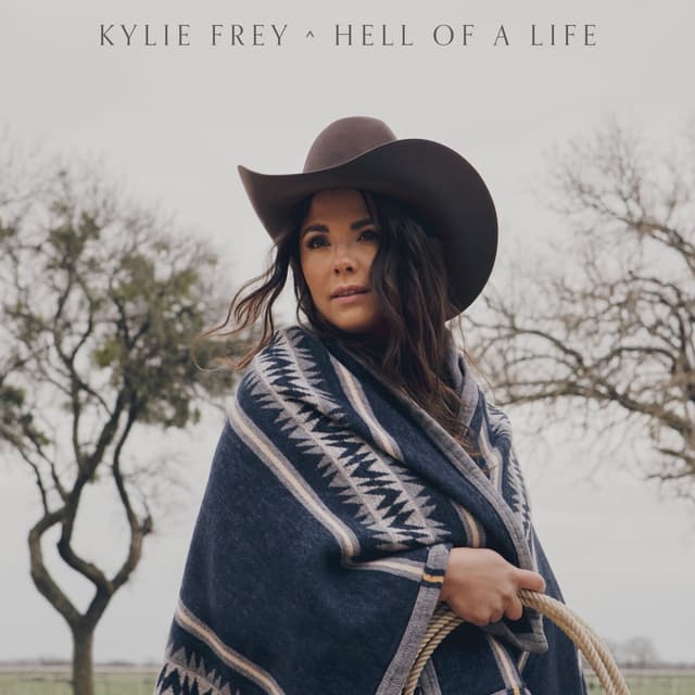 Album cover art for Hell Of A Life