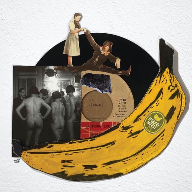 Album cover art for Monkey House