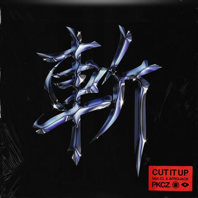 Album cover art for CUT IT UP