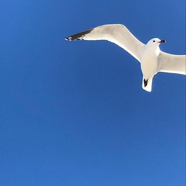 Album cover art for Acoustic, Vol.1