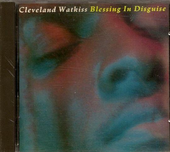 Album cover art for Blessing In Disguise