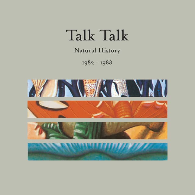 Album cover art for Natural History: The Very Best of Talk Talk