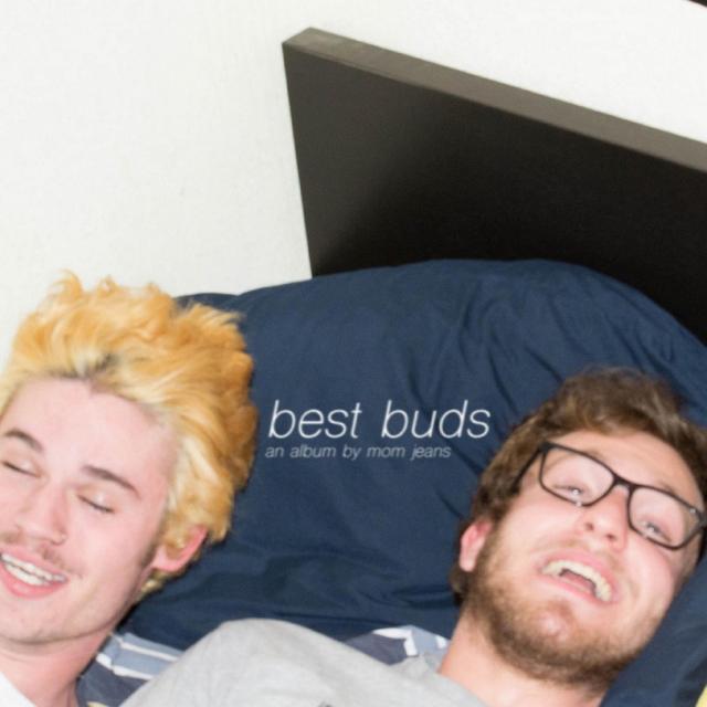 Album cover art for Best Buds
