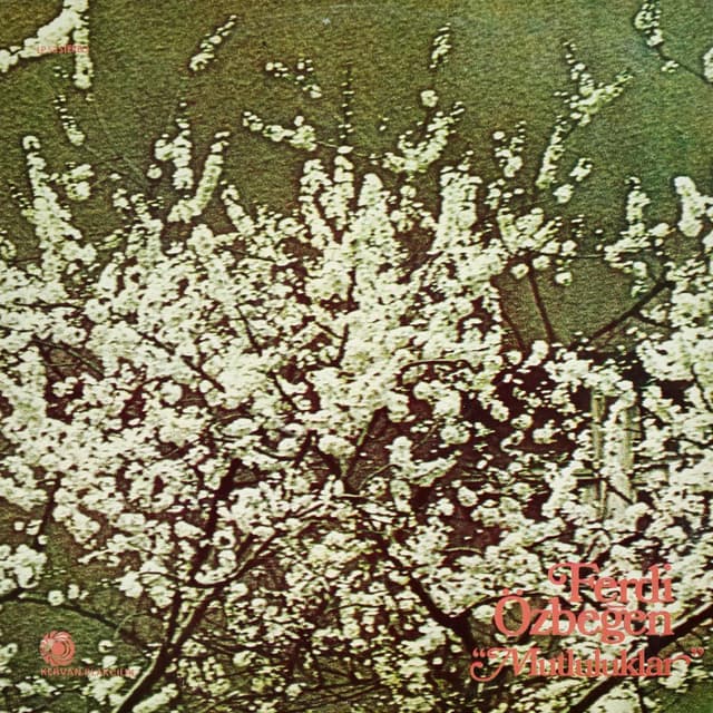 Album cover art for Mutluluklar