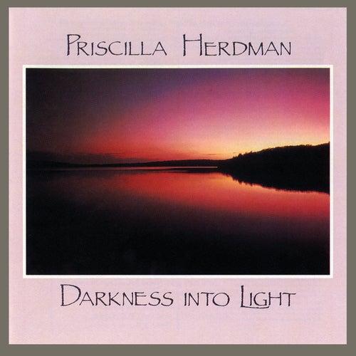 Album cover art for Darkness into Light