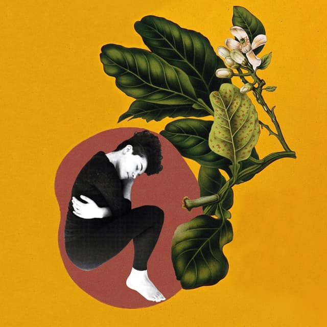 Album cover art for Cocooned