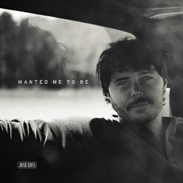 Album cover art for Wanted Me To Be