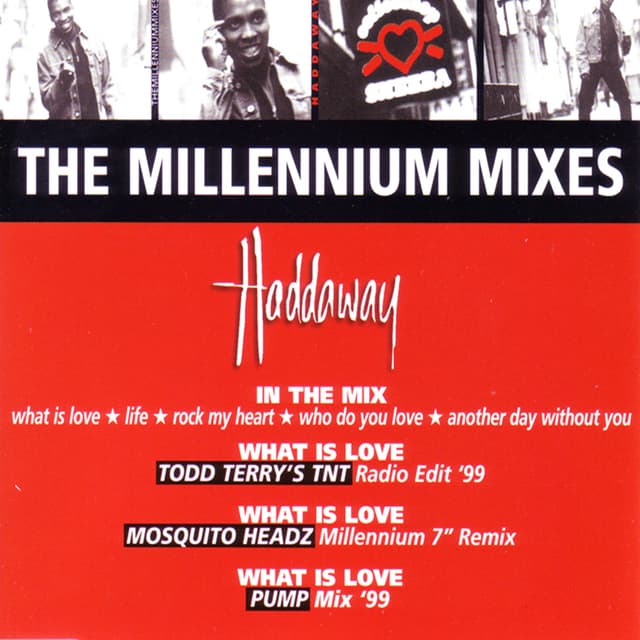 Album cover art for The Millennium Mixes