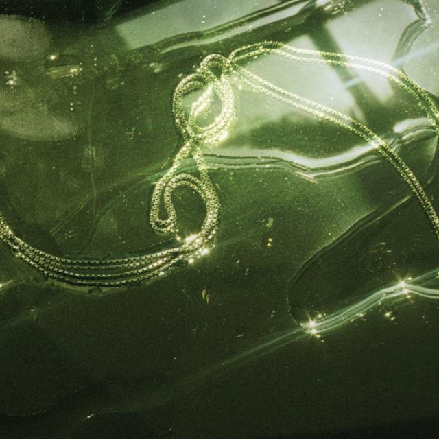 Album cover art for Halskæde